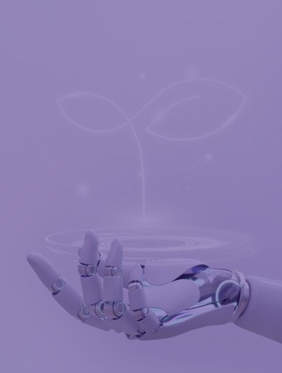 Image Not Found